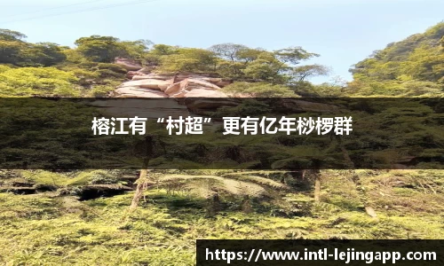 榕江有“村超”更有亿年桫椤群
